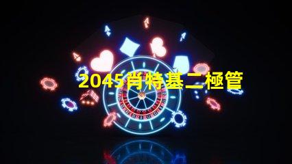 2045肖特基二極管參數(shù)揭秘其性能與應(yīng)用優(yōu)勢