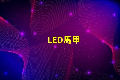 LED馬甲