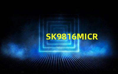 SK9816MICRO-J
