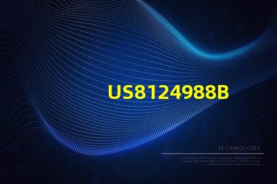 US8124988B2專利授權(quán)評(píng)估方法專利價(jià)值分析與審核流程詳解