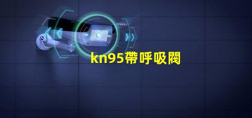 kn95帶呼吸閥
