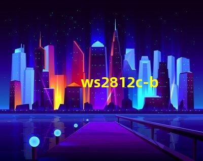 ws2812c-b