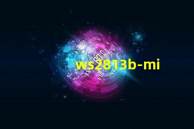 ws2813b-mini