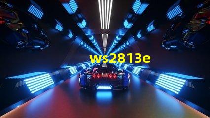ws2813e