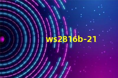 ws2816b-2121