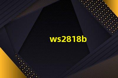 ws2818b
