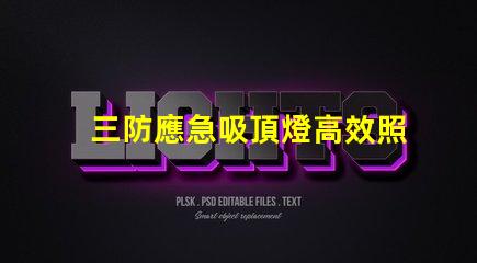 三防應急吸頂燈高效照明技術提升安全性