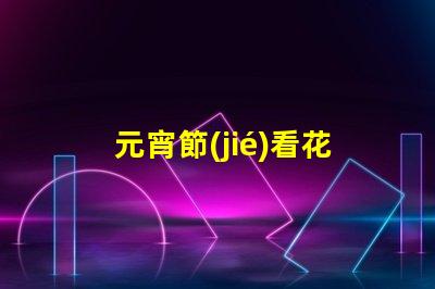 元宵節(jié)看花燈探索獨特花燈創(chuàng)造的節(jié)日魅力