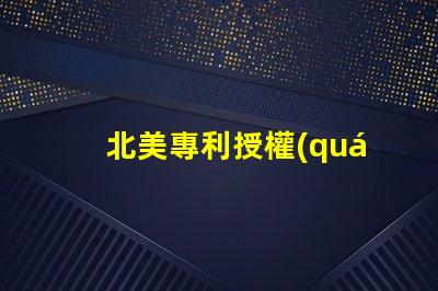 北美專利授權(quán)5018燈珠us8124988b2核心技術(shù)揭秘