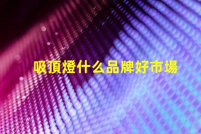 吸頂燈什么品牌好市場上最受歡迎的吸頂燈品牌解析