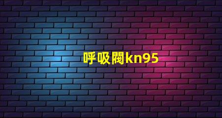 呼吸閥kn95