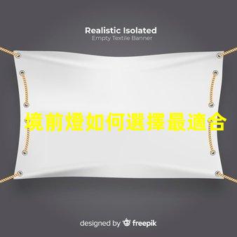 境前燈如何選擇最適合的境前燈以提升項目價值