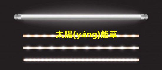 太陽(yáng)能草坪燈對(duì)提升戶外環(huán)境的照明解決方案
