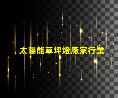 太陽能草坪燈廠家行業(yè)領先的太陽能燈具供應商