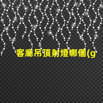 客廳吊頂射燈哪個(gè)牌子好市場上最受歡迎射燈品牌解析