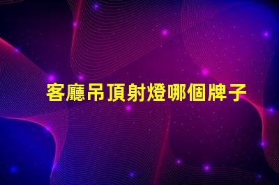 客廳吊頂射燈哪個牌子好市場上最受歡迎射燈品牌解析