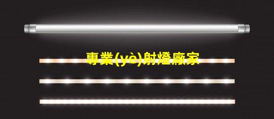 專業(yè)射燈廠家選擇優(yōu)質(zhì)射燈的關(guān)鍵因素是什么