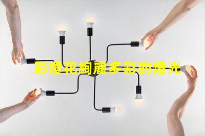 彩燈花絢麗多彩的燈光裝飾選擇