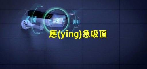 應(yīng)急吸頂燈全面解析其應(yīng)用與優(yōu)勢(shì)