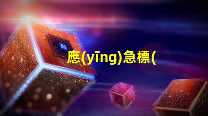 應(yīng)急標(biāo)志燈提升安全性的重要選擇