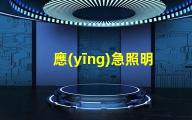 應(yīng)急照明控制器確保安全的智能解決方案