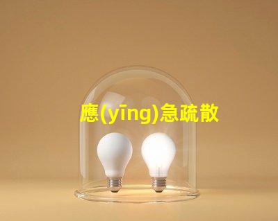 應(yīng)急疏散燈安全退出的關(guān)鍵設(shè)備,你準(zhǔn)備好了嗎