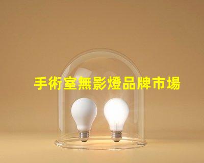 手術室無影燈品牌市場領先品牌對比揭秘