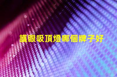 護眼吸頂燈哪個牌子好優質護眼燈具選擇指南