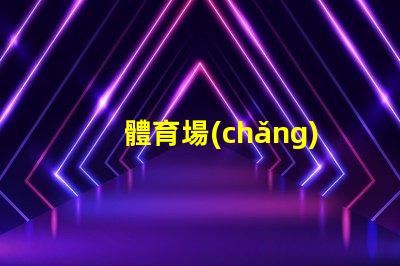 體育場(chǎng)高桿燈提升場(chǎng)館照明效率的關(guān)鍵