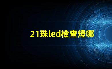 21珠led檢查燈哪家好