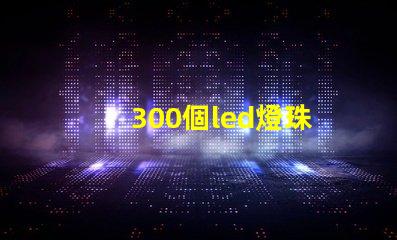 300個led燈珠