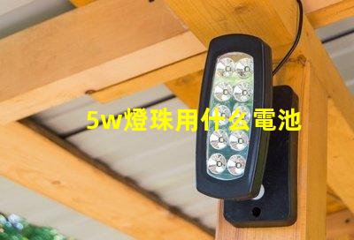 5w燈珠用什么電池