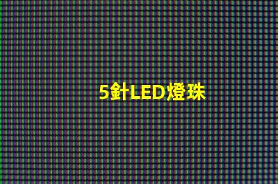 5針LED燈珠