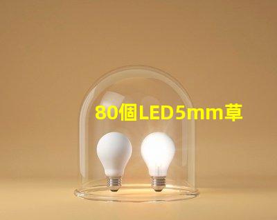 80個LED5mm草帽燈珠配多大驅(qū)動器？