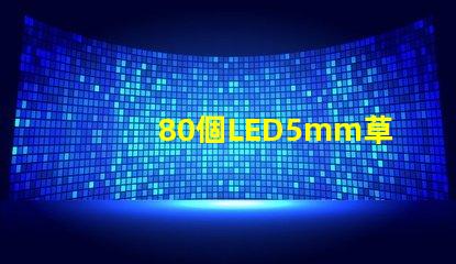 80個LED5mm草帽燈珠配多大驅動器？