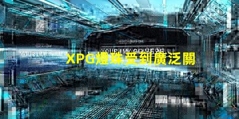 XPG燈珠受到廣泛關注,成為LED照明市場中備受矚目的產品