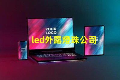 led外露燈珠公司