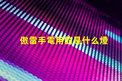 傲雷手電用的是什么燈珠