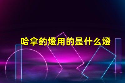 哈拿釣燈用的是什么燈珠