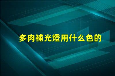 多肉補光燈用什么色的燈珠