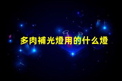 多肉補光燈用的什么燈珠