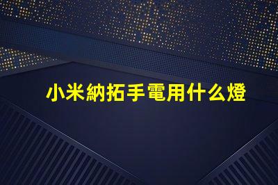 小米納拓手電用什么燈珠