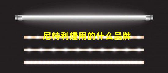 尼特利燈用的什么品牌燈珠