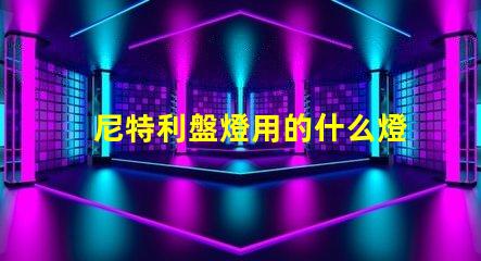 尼特利盤燈用的什么燈珠