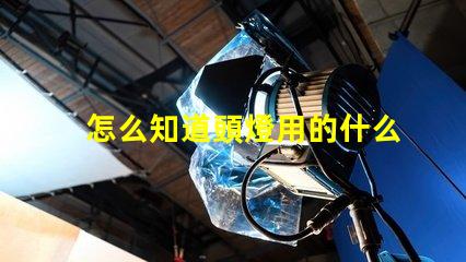 怎么知道頭燈用的什么燈珠