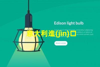 意大利進(jìn)口led燈珠