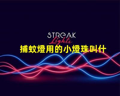 捕蚊燈用的小燈珠叫什么名