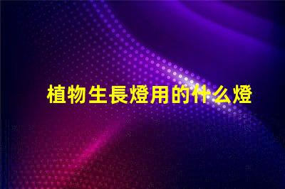 植物生長燈用的什么燈珠