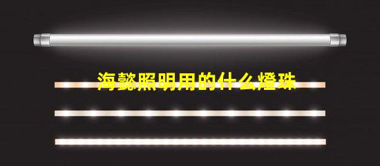 海懿照明用的什么燈珠