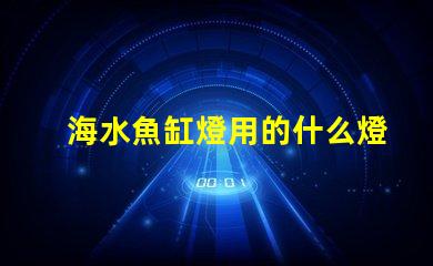 海水魚缸燈用的什么燈珠